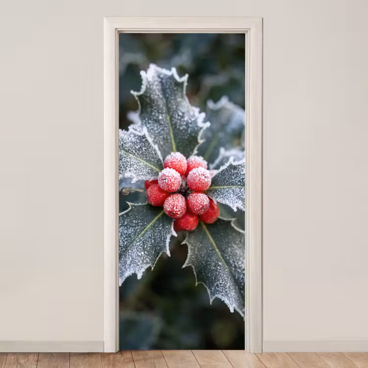 Türtapete - Pflanze – Mit Raureif überzogen – Winter — 1