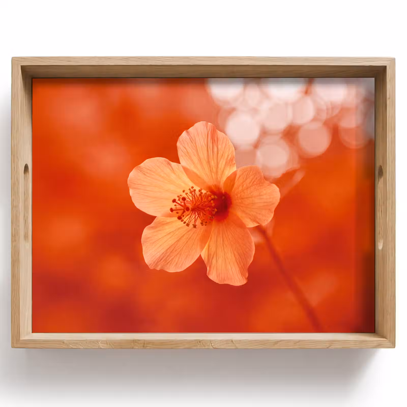 Tablett - Orangefarbene Blume – Makro — 1