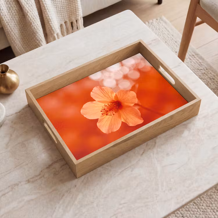 Tablett - Orangefarbene Blume – Makro — 2