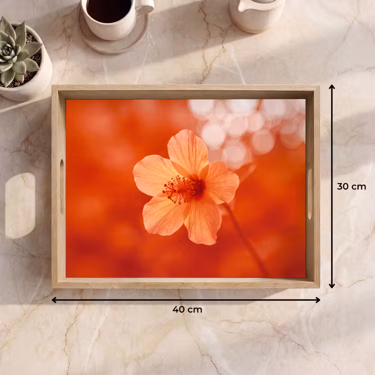 Tablett - Orangefarbene Blume – Makro — 9