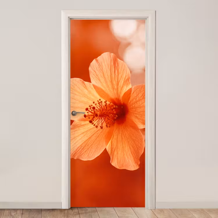 Türtapete - Orangefarbene Blume – Makro — 1