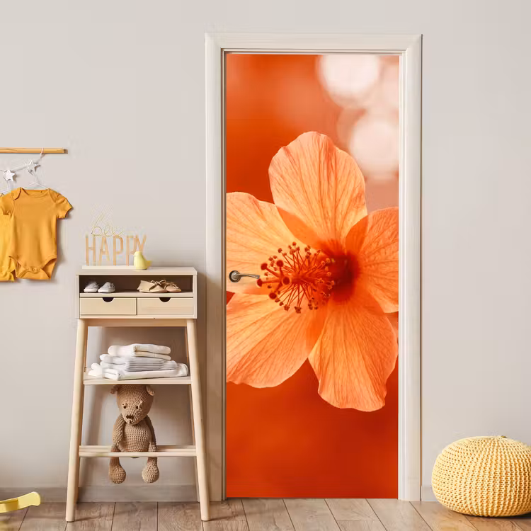 Türtapete - Orangefarbene Blume – Makro — 5