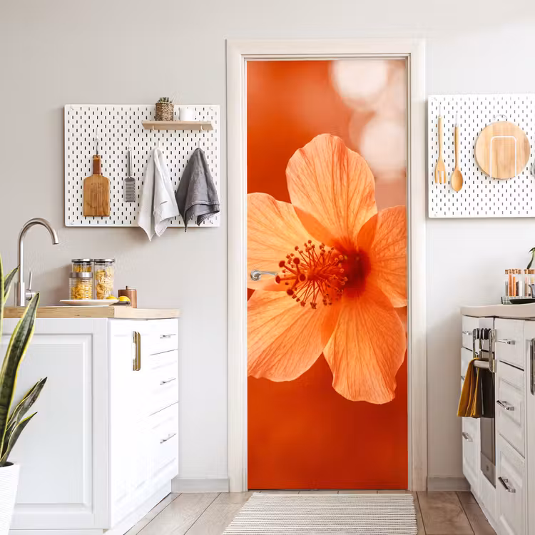 Türtapete - Orangefarbene Blume – Makro — 6