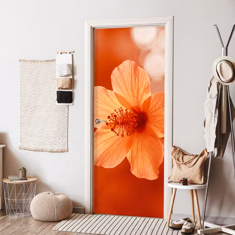 Türtapete - Orangefarbene Blume – Makro — 7