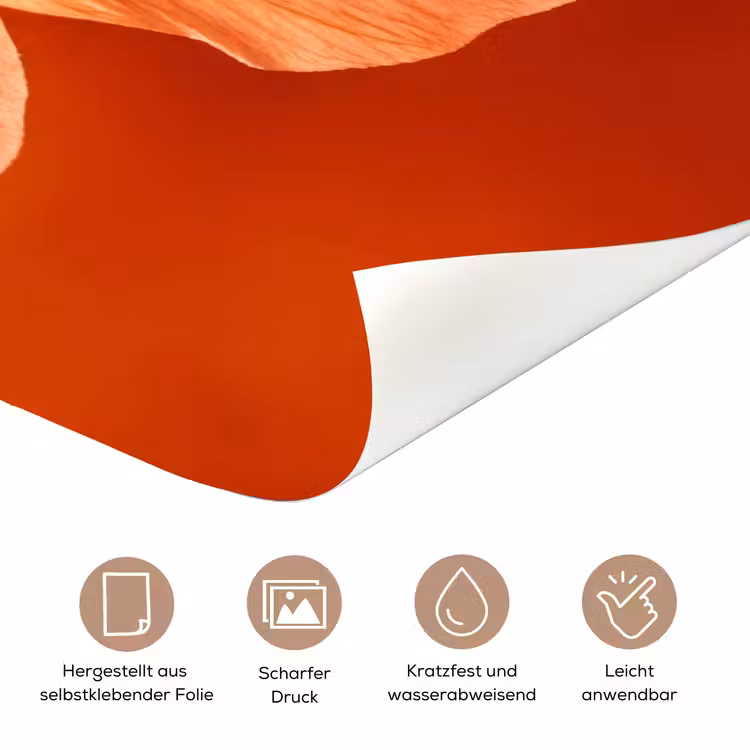 Türtapete - Orangefarbene Blume – Makro — 8
