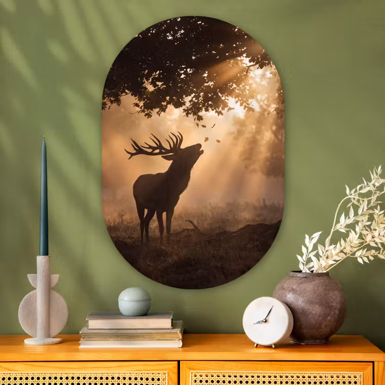 Glasbild Oval - Hirsch – Sonnenstrahlen – Herbst — 2