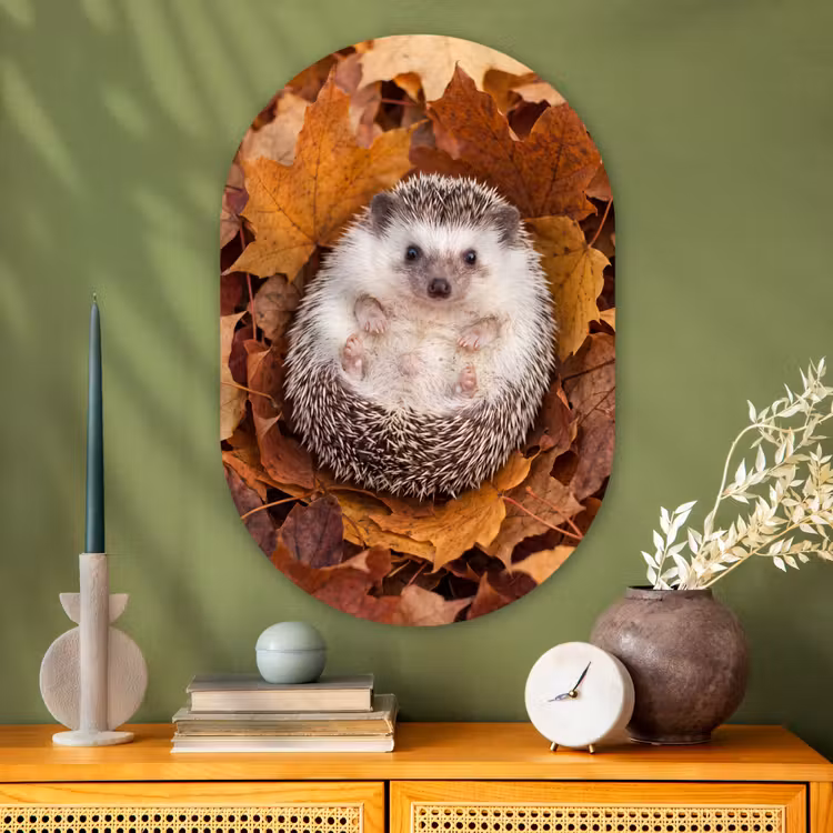 Glasbild Oval - Igel – Herbst – Tiere — 2