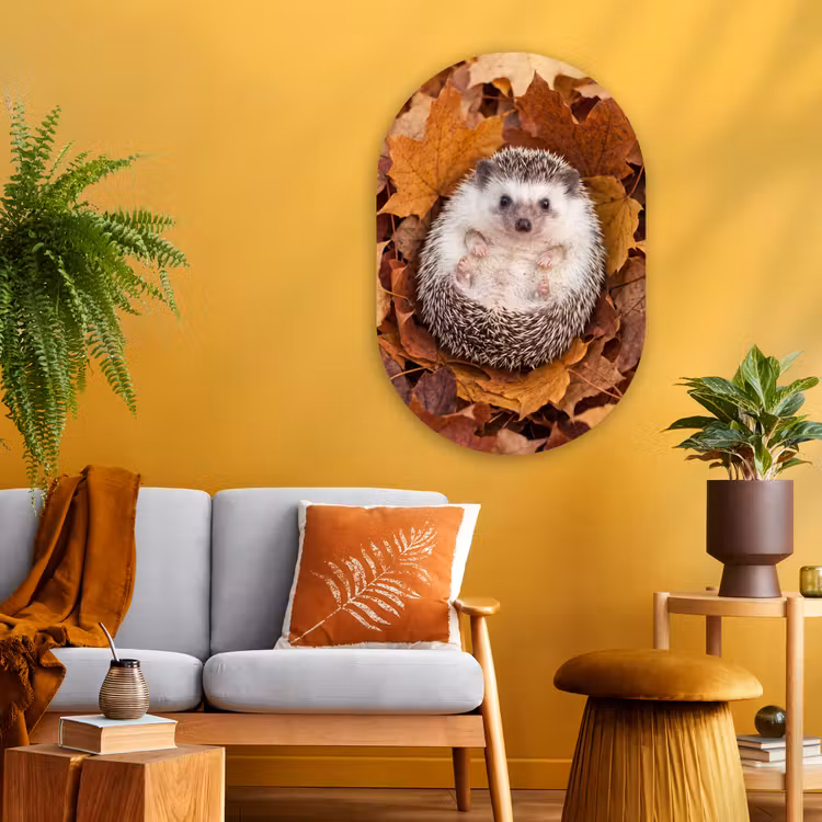 Glasbild Oval - Igel – Herbst – Tiere — 3