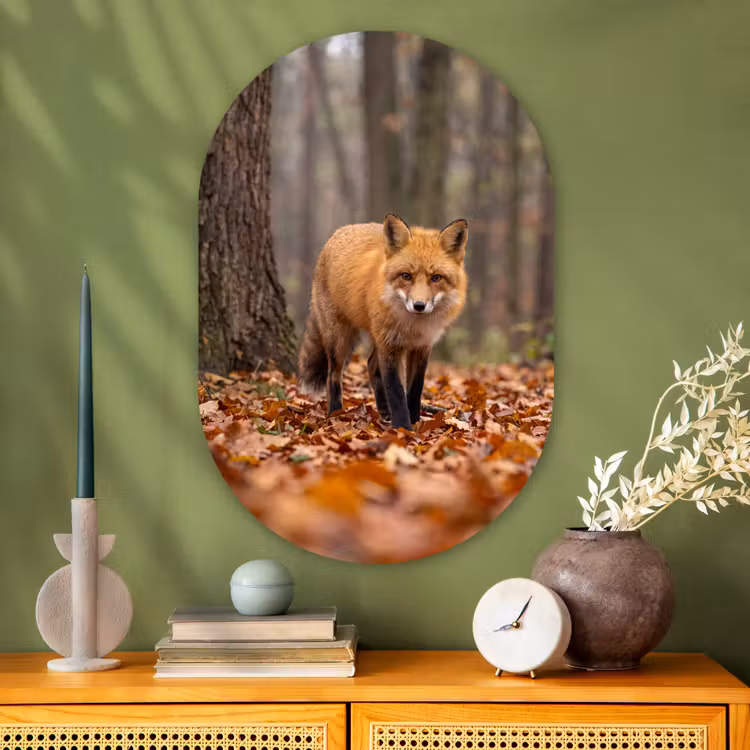 Glasbild Oval - Fuchs – Herbst – Blätter — 2