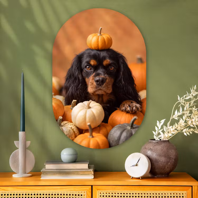 Glasbild Oval - Hund – Kürbis – Herbst — 2