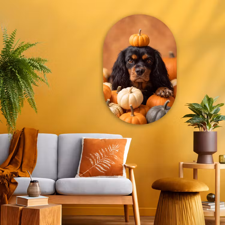 Glasbild Oval - Hund – Kürbis – Herbst — 3