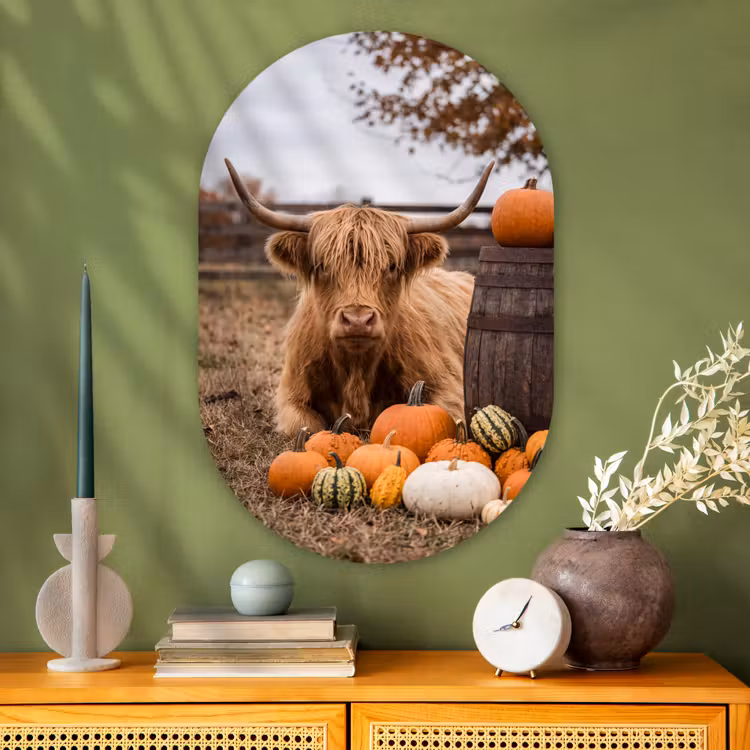 Glasbild Oval - Rind – Kürbis – Herbst — 2