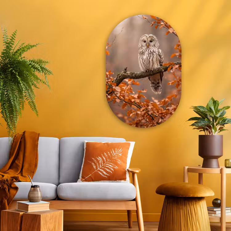 Glasbild Oval - Vogel – Baum – Herbst — 3