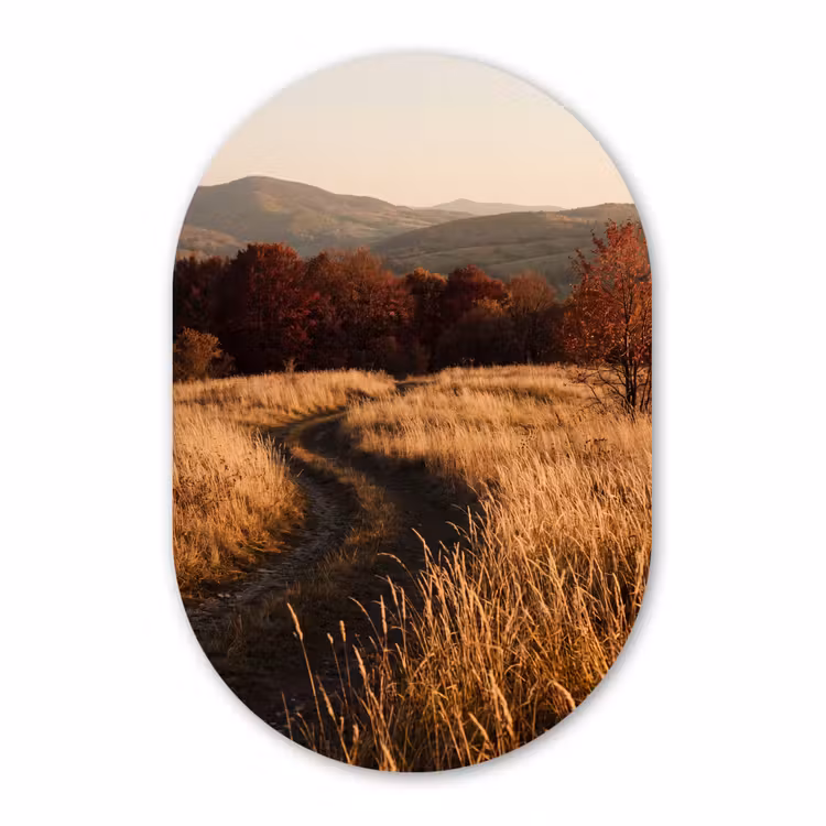 Glasbild Oval - Weg – Herbst – Natur — 1