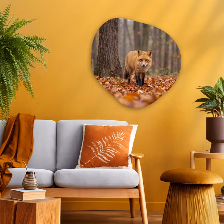 Glasbild Organische Form - Fuchs – Herbst – Blätter — 3