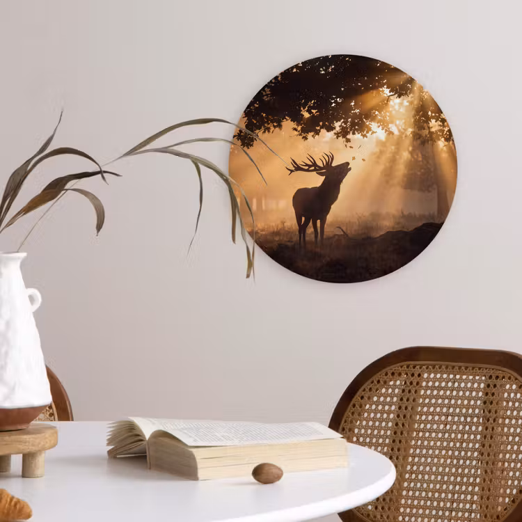 Glasbild Rund - Hirsch – Sonnenstrahlen – Herbst — 4
