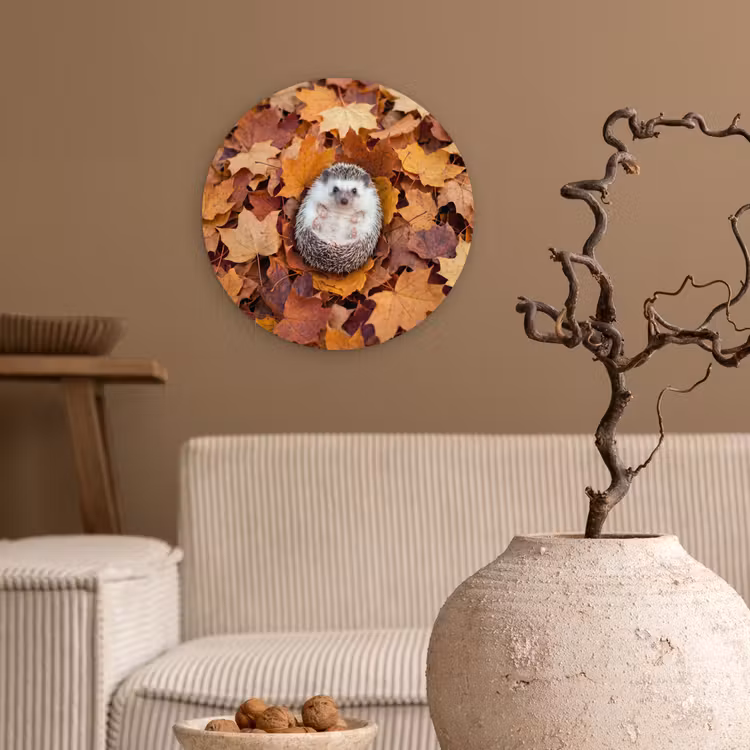 Glasbild Rund - Igel – Herbst – Tiere — 2