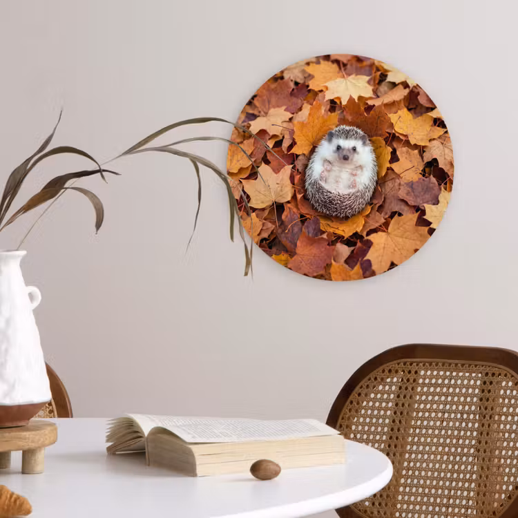 Glasbild Rund - Igel – Herbst – Tiere — 4