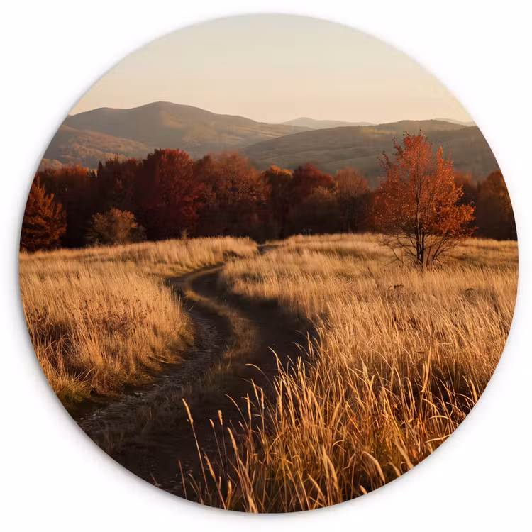 Glasbild Rund - Weg – Herbst – Natur — 1
