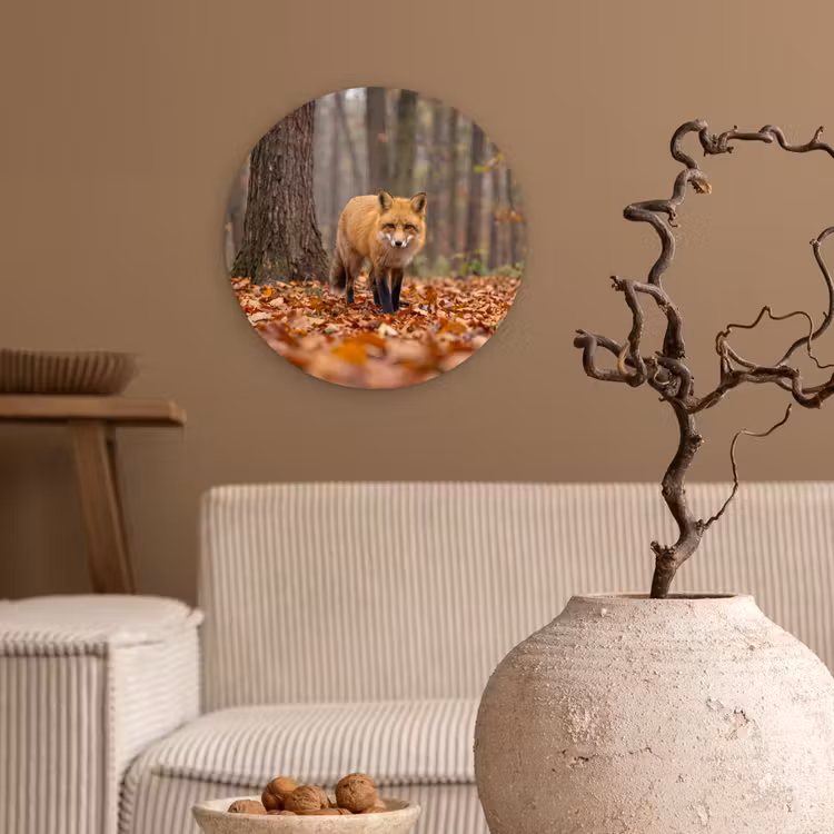 Glasbild Rund - Fuchs – Herbst – Blätter — 2