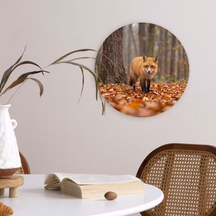 Glasbild Rund - Fuchs – Herbst – Blätter — 4