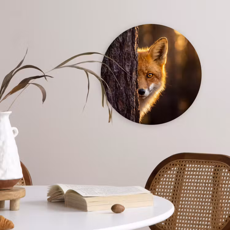 Glasbild Rund - Fuchs – Tiere – Licht — 4