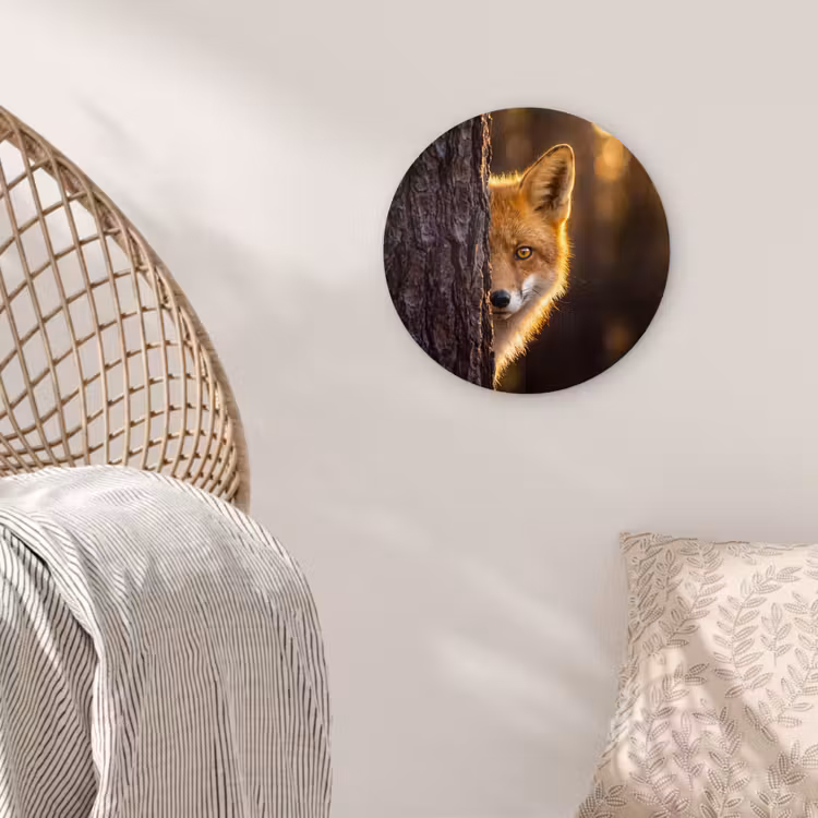 Glasbild Rund - Fuchs – Tiere – Licht — 5