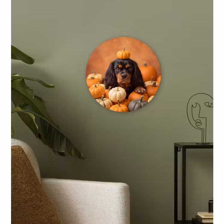 Glasbild Rund - Hund – Kürbis – Herbst — 3