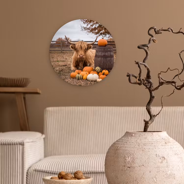 Glasbild Rund - Rind – Kürbis – Herbst — 2