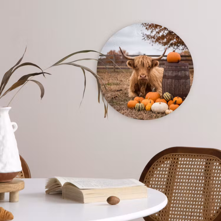 Glasbild Rund - Rind – Kürbis – Herbst — 4