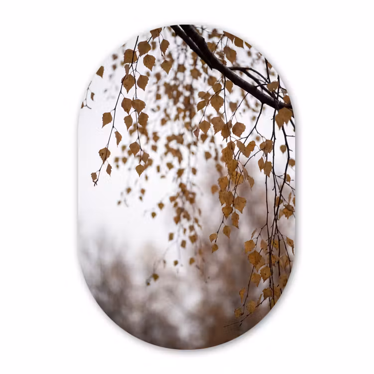 Glasbild Oval - Herbstblatt – Natur – Gelb — 1