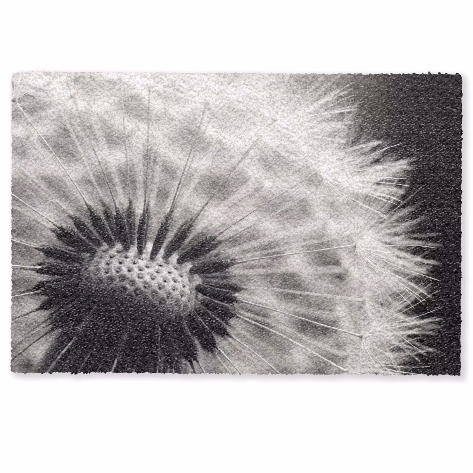 Fußmatte - Pusteblume - Schwarz - Weiß — 1