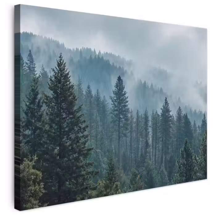 Leinwandbild - Nadelwald – Berge – Nebel