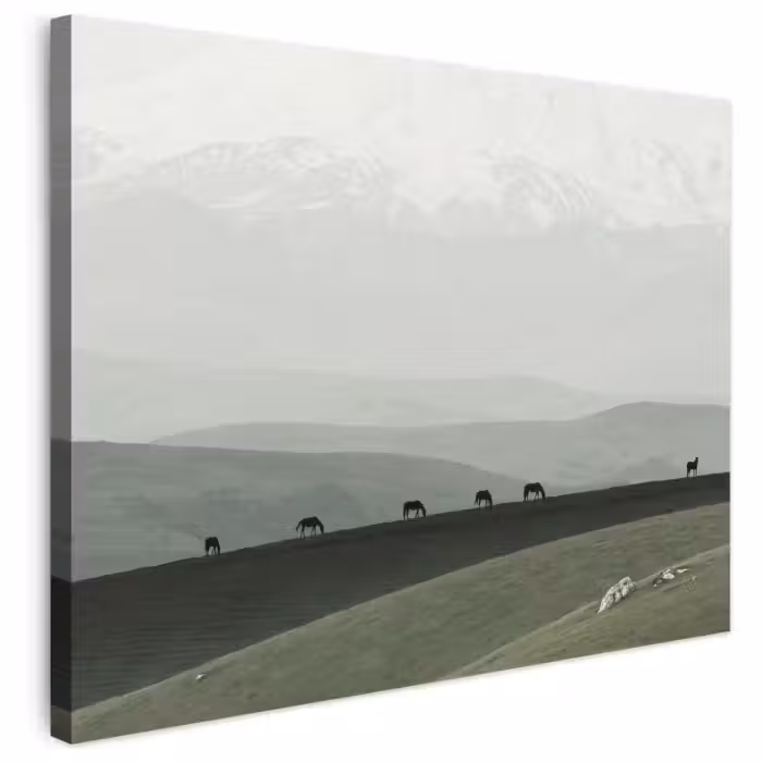 Leinwandbild - Grau - Berg - Pferde
