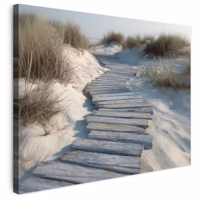 Leinwandbild - Pfad - Regale - Dünen - Gras