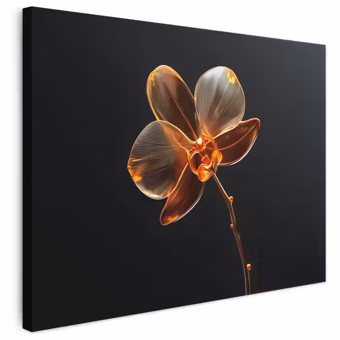 Leinwandbild - Orchidee - Transparent - Blume