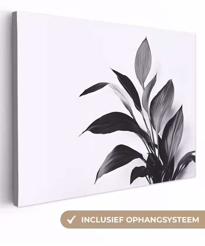 Leinwandbild - Pflanze - Blätter - Minimalistisch - Schwarz