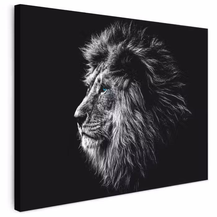 Leinwandbild - Schwarz und weiß - Löwe - Kopf - Tiere
