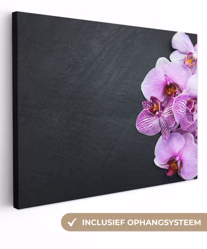 Leinwandbild - Orchidee - Blumen - Rosa - Flora