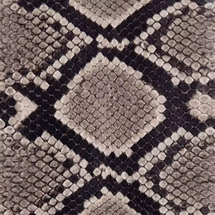 Tapete - Schlangenhaut - Gemustert - Beige