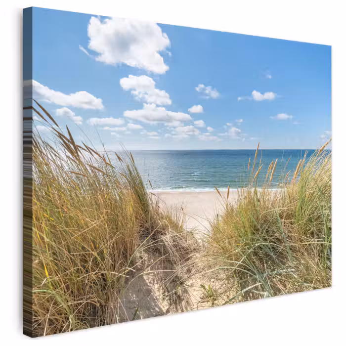 Leinwandbild - Düne - Gras - Meer - Strand