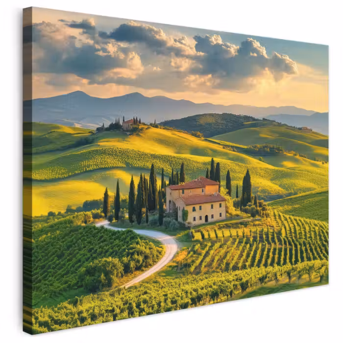 Leinwandbild - Toskana - Landschaft - Weinberge