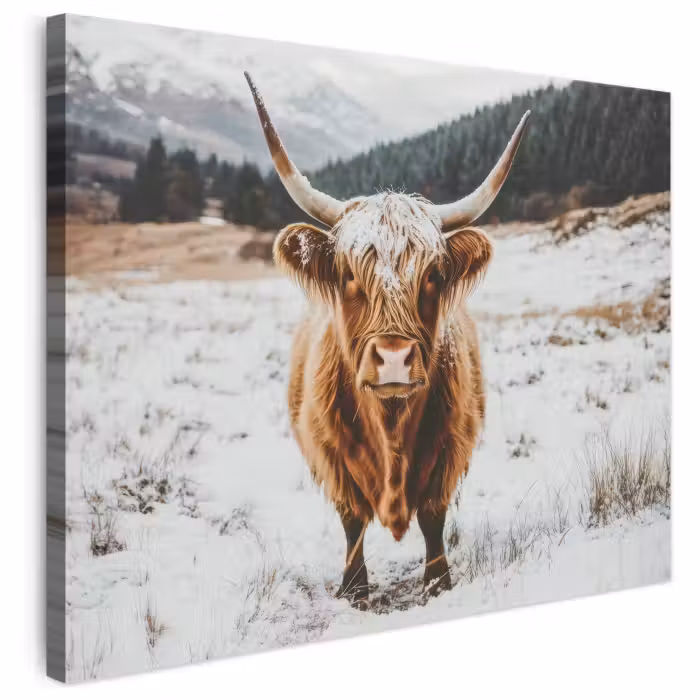 Leinwandbild - Schottische Highlander - Landschaft - Schnee - Berge - Winter