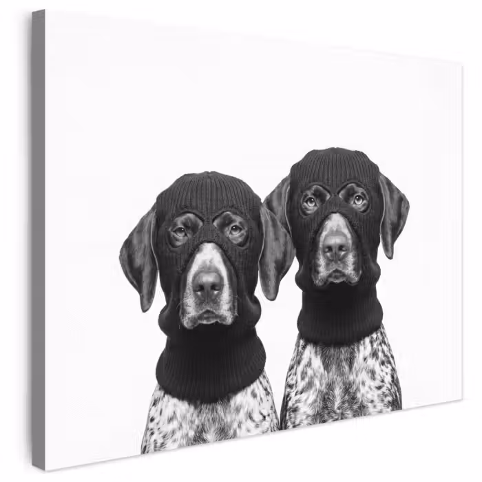 Leinwandbild - Hunde - Balaclava - Schwarz - Weiß
