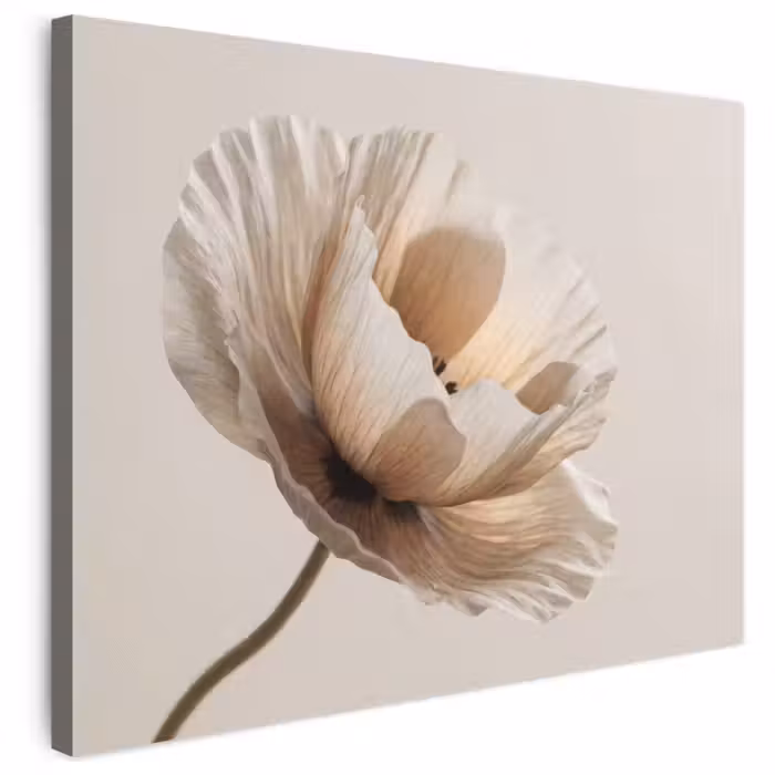 Leinwandbild - Blume - Beige - Creme