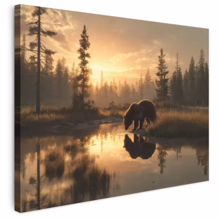 Leinwandbild - Bär - Wasser - Wald - Morgenlicht