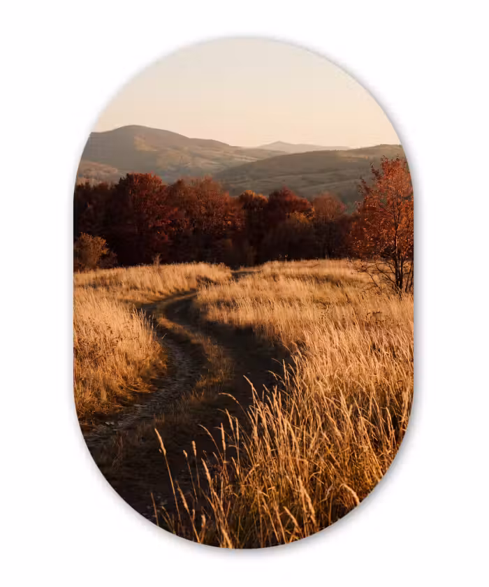 Glasbild Oval - Weg – Herbst – Natur