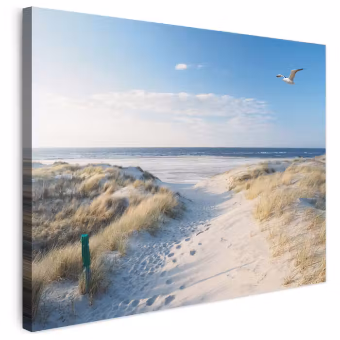 Leinwandbild - Düne - Möwe - Strand - Meer - Sonne