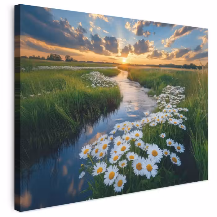 Leinwandbild - Strom - Landschaft - Gänseblümchen