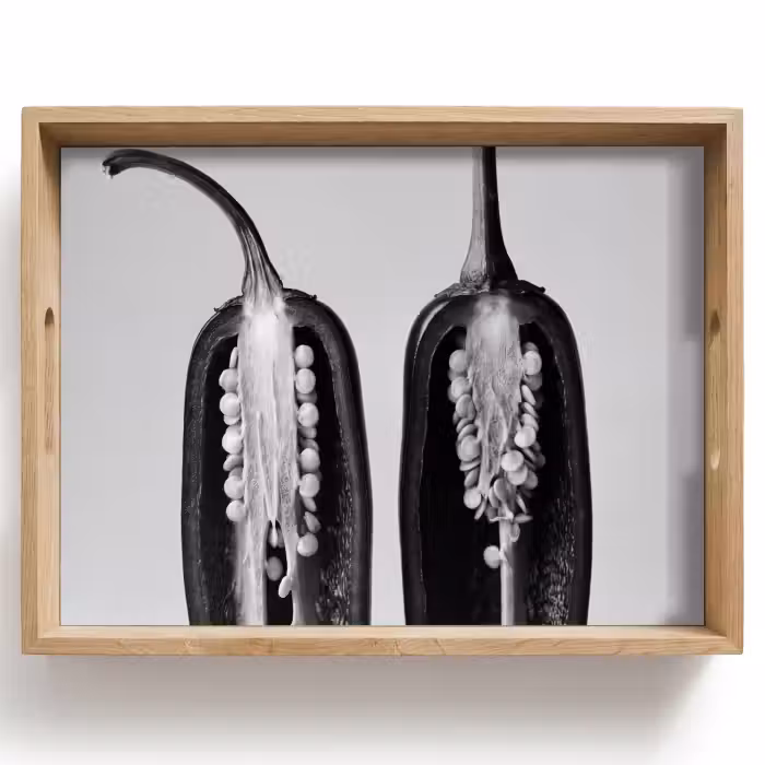 Tablett - Paprika - Schwarz - Weiß - Saatgutrahmen